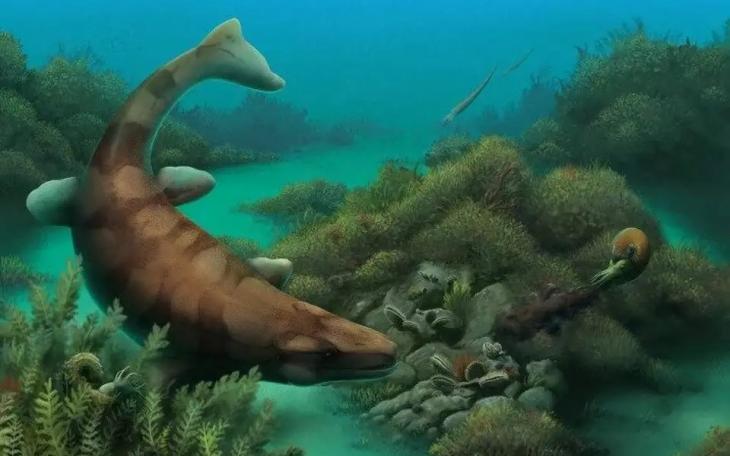 Rare 80-Million-Year-Old Fossils Unearthed in Northeast Texas