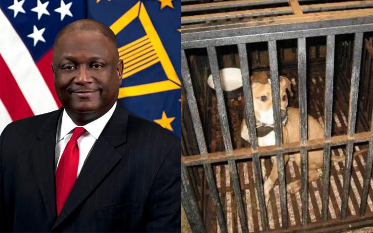Animal Groups Celebrate Guilty Plea of Dogfighting Pentagon Official
