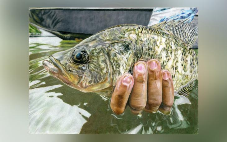 2025 Texas Fish Art Contest Opens for Entries