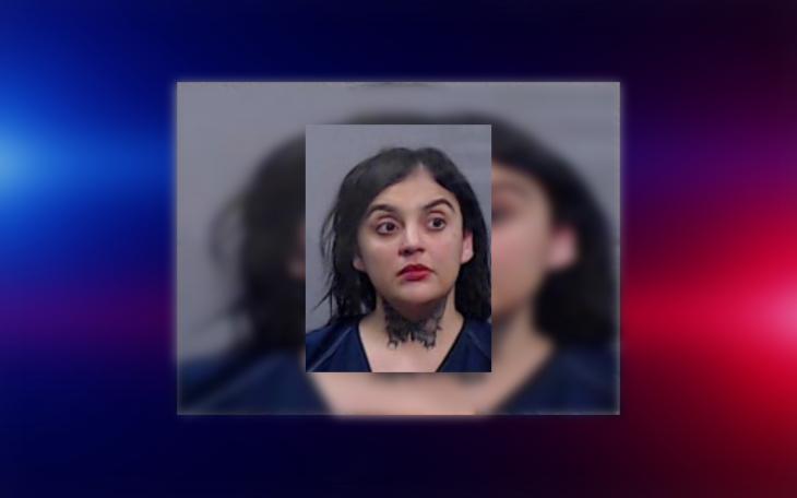 Odessa Twins Drown; Mother Charged with Drug Trafficking