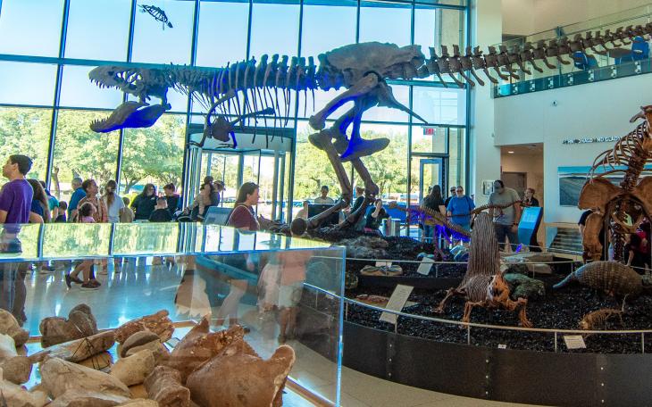 ASU Night at the Museum