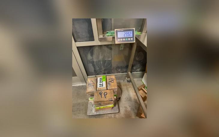 U.S. Customs and Border Protection officers seized nearly $880,000 worth of cocaine concealed in a tractor-trailer hauling broccoli