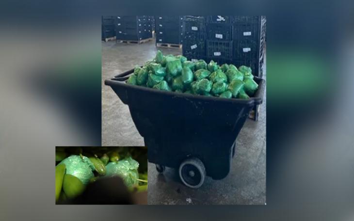 Bundles of methamphetamine disguised among serrano peppers were seized by CBP officers at the Pharr International Bridge, totaling over 2,155 pounds with an estimated street value of $31 million.