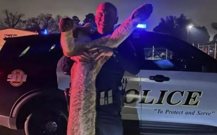 A Longview police officer posed for a photo with a mountain lion he struck and killed with his patrol car, sparking mixed reactions on social media.