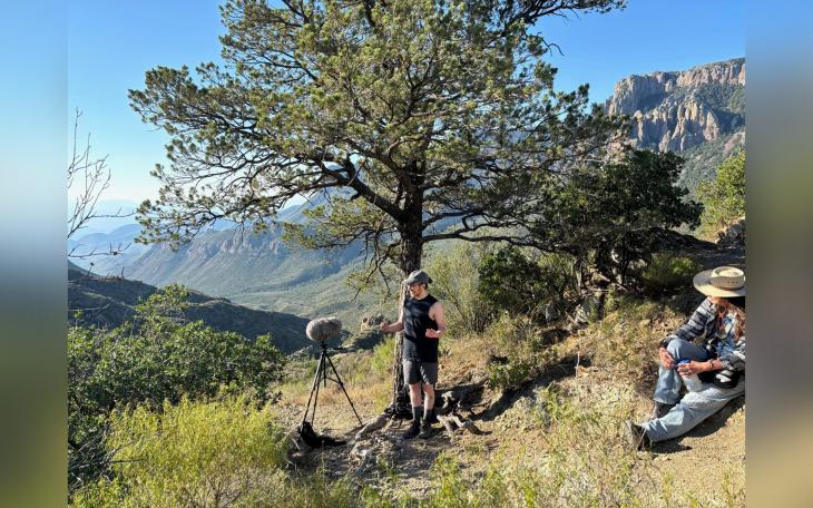 Big Bend National Park is accepting applications for its Summer 2025 Artist-in-Residence program, offering selected artists a unique opportunity to create amid the park’s dramatic landscapes.