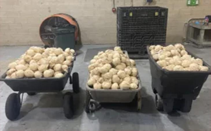 Packages containing 838 pounds of methamphetamine seized by CBP officers at Pharr International Bridge.