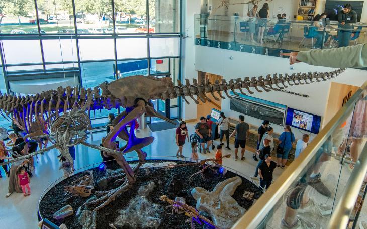 ASU Night at the Museum