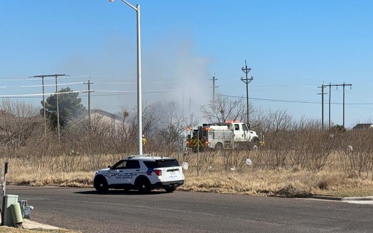Fire crews responded to a grass fire that broke out in a wooded area on Executive Drive late Monday morning.