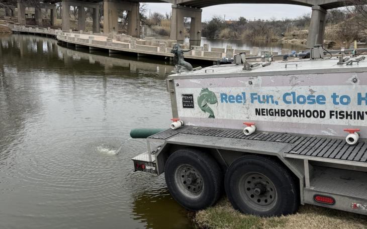 The Texas Parks and Wildlife Department stocked the Concho River with rainbow trout in downtown San Angelo on Friday, which it announced will be the final stocking of the 2024-25 season.