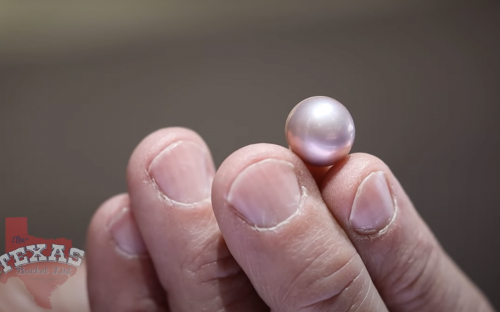 The rare Concho Pearl, a natural pink-hued gem found only in the rivers and lakes around San Angelo, was featured on The Texas Bucket List. The show highlighted Legend Jewelers, a downtown San Angelo business known for crafting jewelry from the pearls.