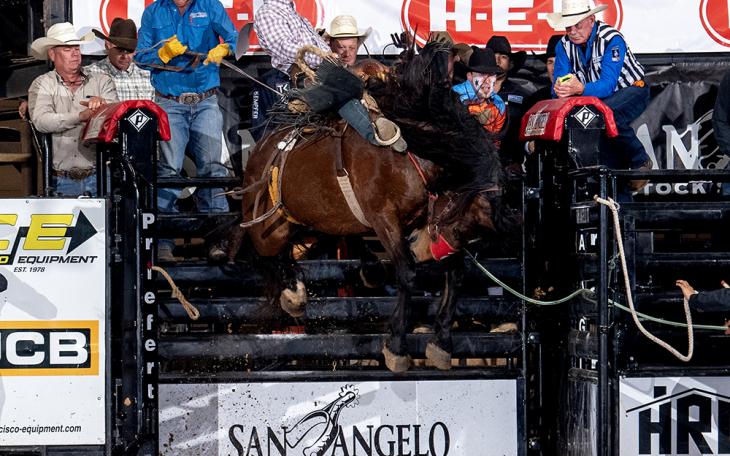 Dirty Jacket, a Hall of Fame bucking horse that's been competing for 17 years, was honored at the San Angelo Rodeo on Saturday night.