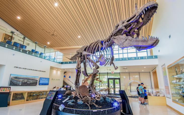 ASU Mayer Museum T-Rex