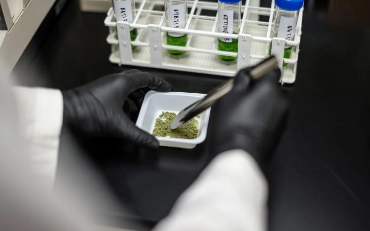 The Texas Senate advanced a bill Tuesday that will expand the conditions eligible for the state’s medical marijuana program.