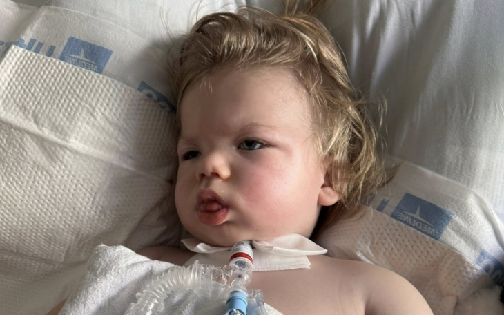 Amazing Update on Kash Nelson