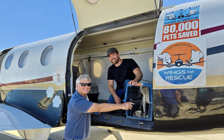 Wings of Rescue, the nation’s largest air transport charity for pets, will perform an operation in San Angelo on Thursday, July 10.