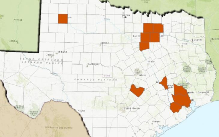 Texas West Nile Cases Doubles in 72 Hours Texas West Nile Cases Doubles in 72 Hours