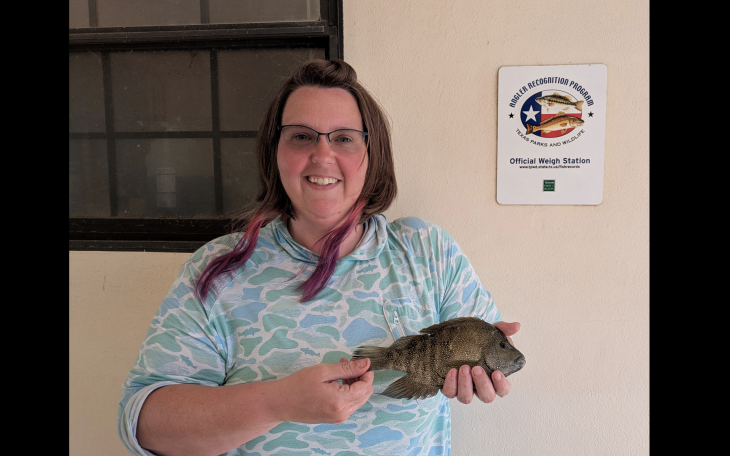 A San Angelo woman has submitted her catch of a Rio Grande cichlid for the pending waterbody record at Spring Creek near Mertzon.