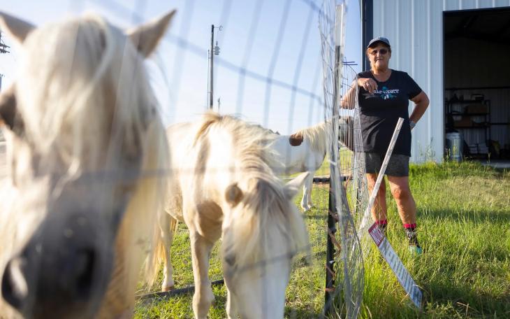 Romana Harding greets goats and miniature horses on her farm outside of Midway, on Tuesday, July 29, 2025. Romana plans to use the 10 acres she owns to make a farm for other veterans to visit and experience healing.