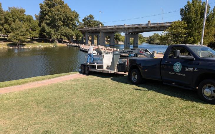 Channel catfish were stocked into the Concho River in downtown San Angelo on Friday for the second-to-last time this year.