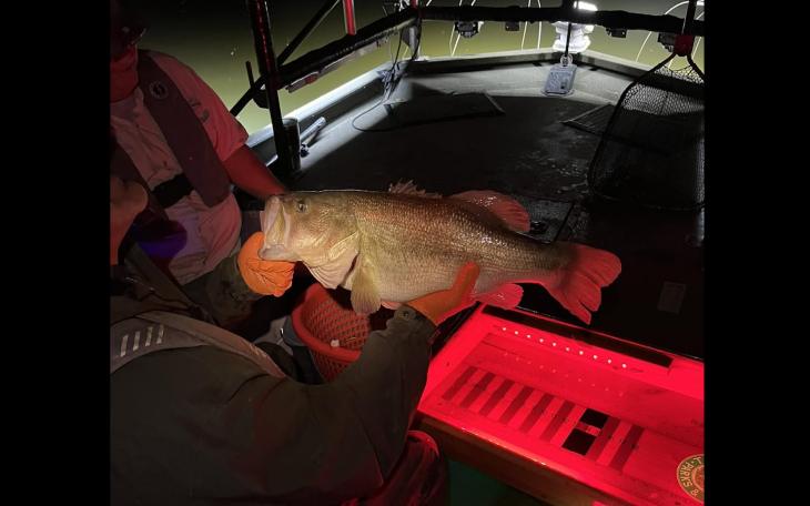 A fishing survey this week conducted by the Texas Parks and Wildlife Department showed promising results at Lake Nasworthy.