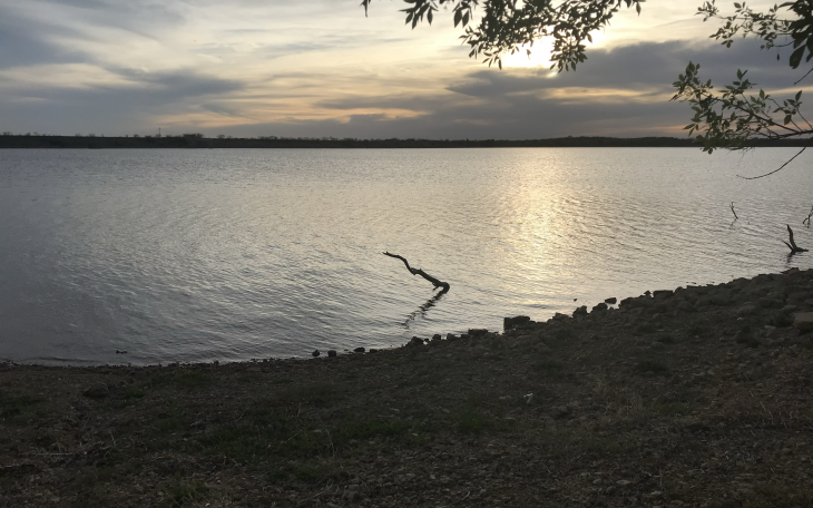 A recent electrofishing survey at Lake Winters showed an abundance of largemouth bass, according to the Texas Parks and Wildlife Department.