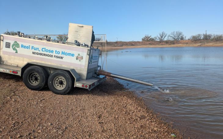 Lakes around the area are being stocked with rainbow trout over the next few months, according to the Texas Parks and Wildlife Department.
