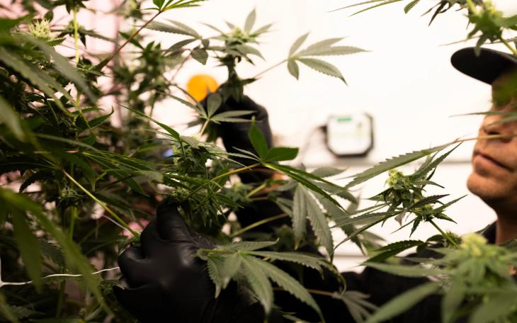 Jason Sanders with Texas Original gives a tour of the business’ facility on Sept. 26, 2024.