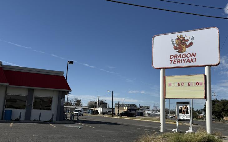 Dragon Teriyaki