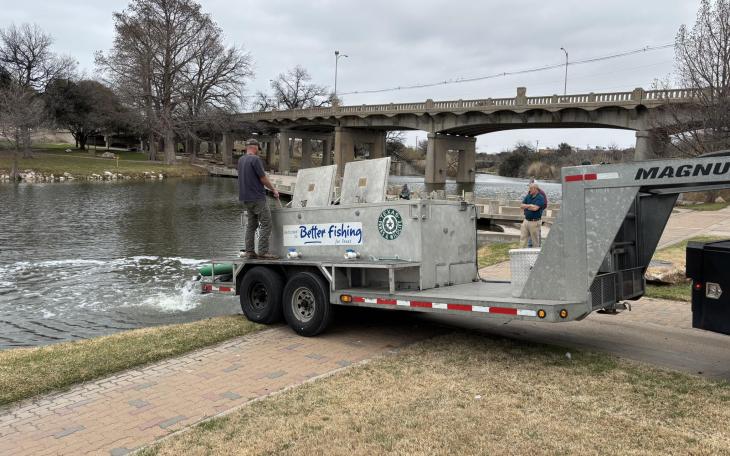 More than 700 rainbow trout were stocked in the Concho River downtown Friday, Feb. 20, by the Texas Parks and Wildlife Department in the final planned trout stocking of the season.