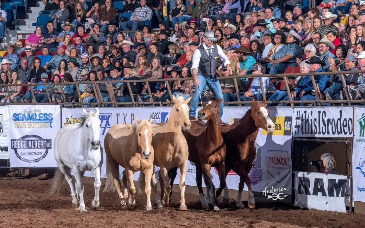 DAN JAMES – SPECIALTY ENTERTAINMENT