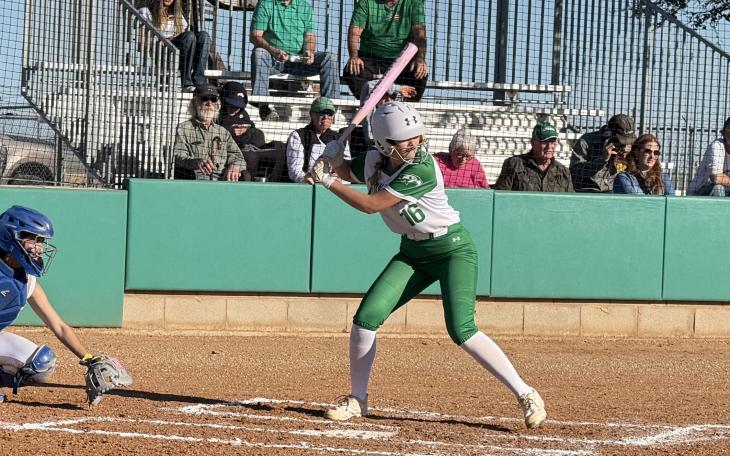 Wall Lady Hawks' Emery Harper