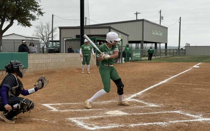 Wall Lady Hawks Softball 2026