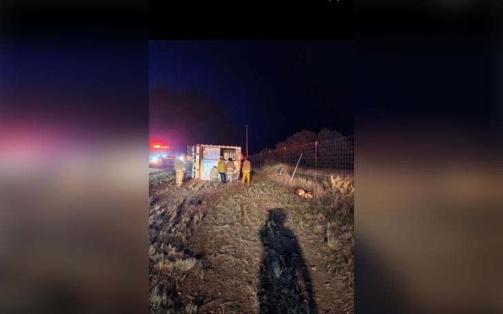 Semi Hauling 80 Heifers Crashes in Kimble County
