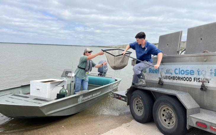 The O.H. Ivie and O.C. Fisher reservoirs were stocked Wednesday with Lone Star Bass fingerlings by the Texas Parks and Wildlife Department.