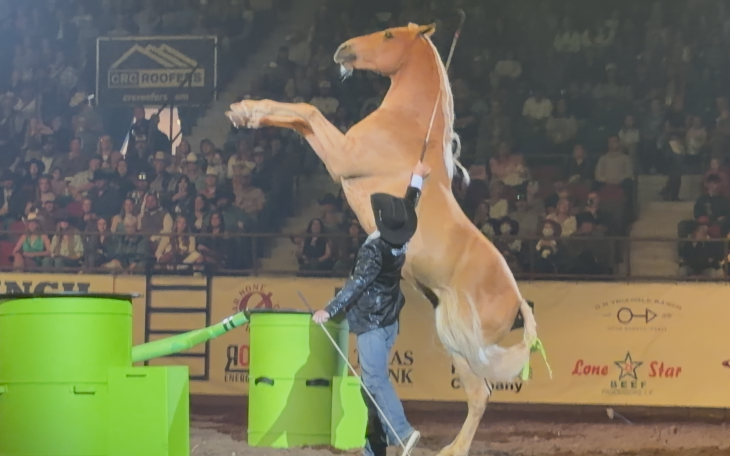 Dan James and Applejack