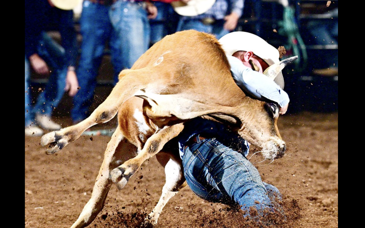 New Mexico cowboy Cimarron Thompson sits in a tie for first place in steer wrestling after his run Thursday at the San Angelo Rodeo.
