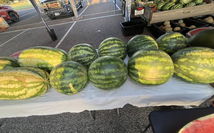 Watermelons are shown from the Concho Valley Farmer's Market.