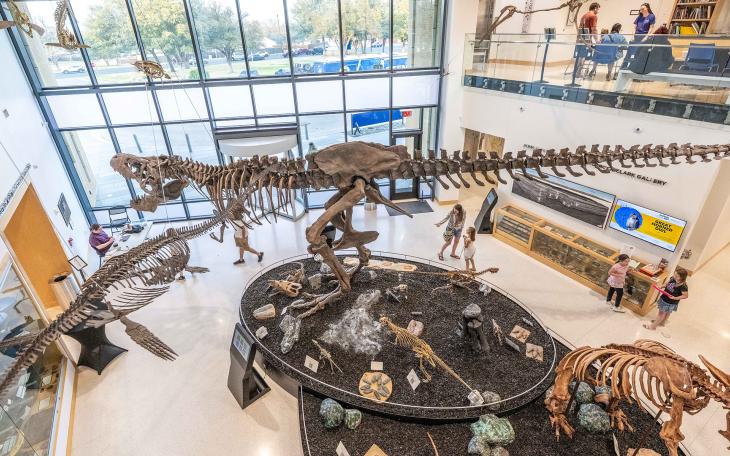 Night at the Mayer Museum