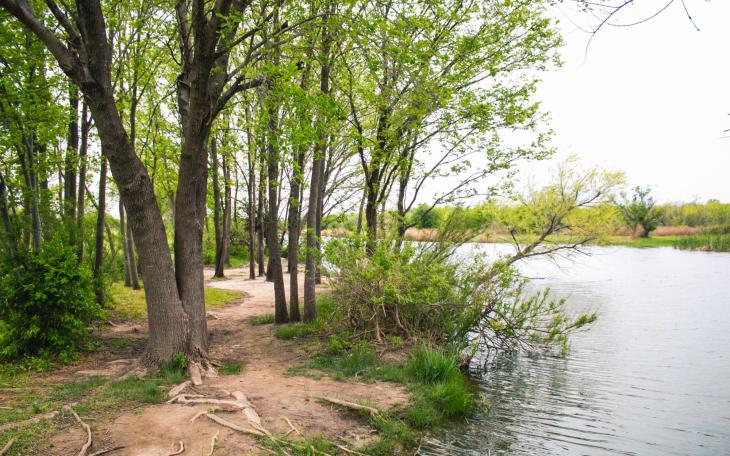 Lytle Creek at Cal Young Park in Abilene