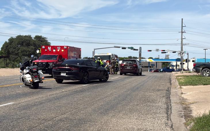 A dog running into traffic Monday caused one person to be taken to the hospital.