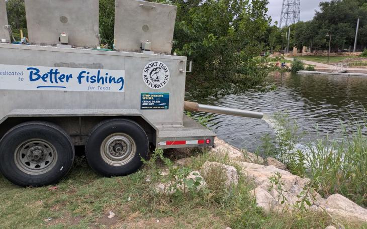 The Texas Parks and Wildlife Department’s Inland Fisheries Division stocked channel catfish into the Concho River in downtown San Angelo on Friday, June 19, 2026.