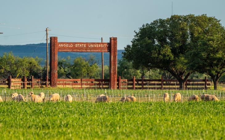Angelo State MIR Center
