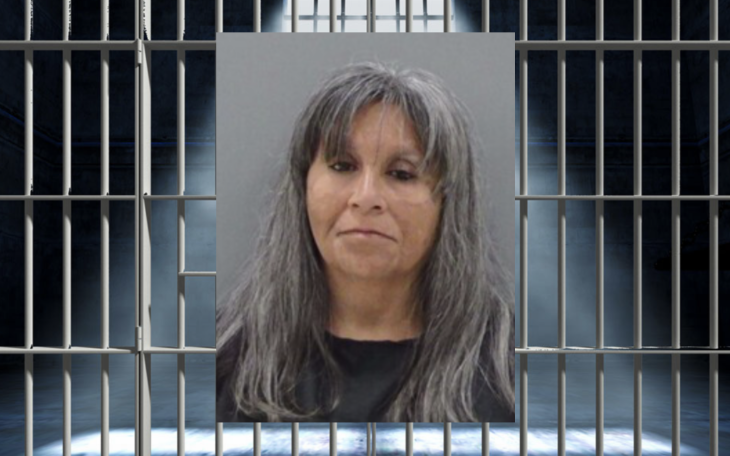 Michelle Penner, 56, Arrested