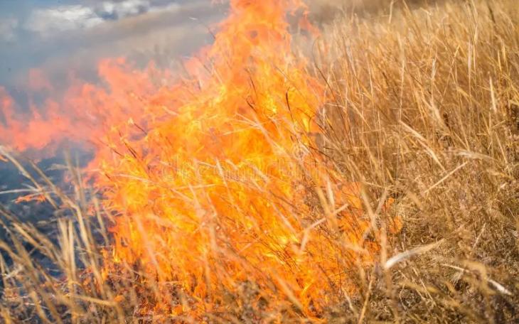 Grass Fire