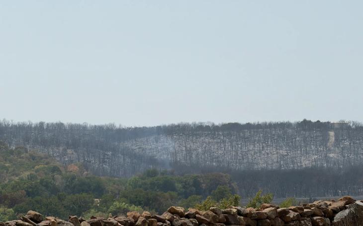 Scorched trees show the devastation from the Ross Fire in North Texas on Aug. 27, 2026. The fire has been declared 100% contained.