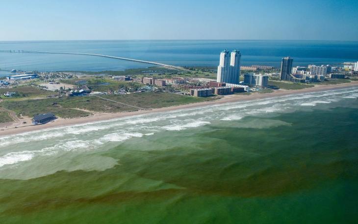 Red tide visible in the water near South Padre Island in October 2009.