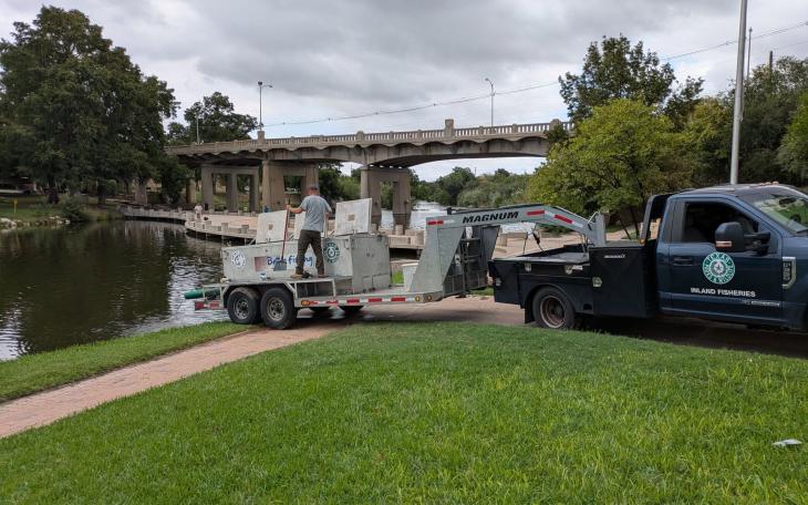 Channel Catfish Stocked in Concho River as Part of Neighborhood Fishin’ Program