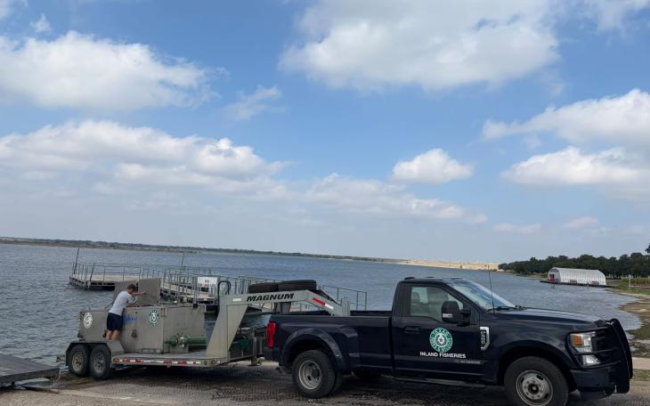 In a continued effort to rebuild its fish population, Brady Creek Reservoir was stocked with about 70,000 bluegill sunfish fingerlings Tuesday afternoon.