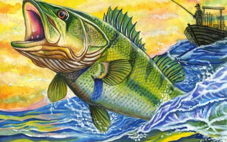 A 2026 Fish Art Contest winner is shown in this photo.