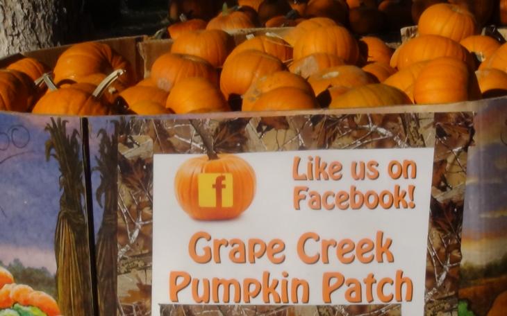 Pumpkins of all shapes and sizes are for sale at the Pumpkin Patch (LIVE! photo by Cheyenne Benson)